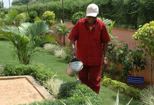Sewage Treatment Plant